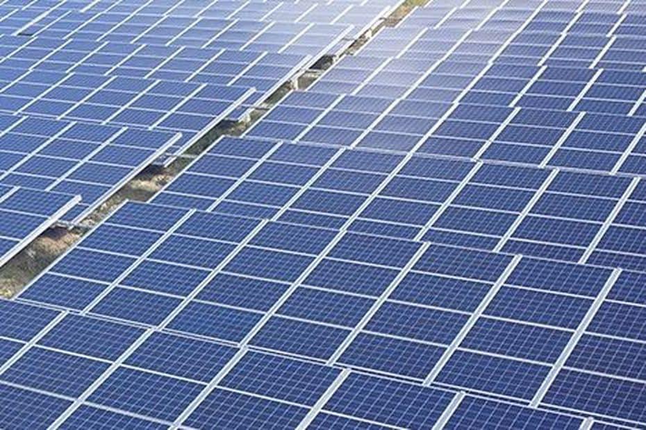 Guyane&nbsp;: Un projet de centrale photovoltaïque en recyclant les hectares de canne à sucre inutilisés à Saint-Laurent du Maroni