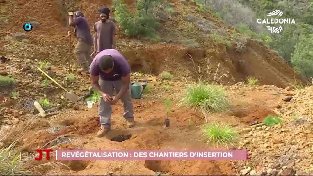 Nouvelle-Calédonie: Les chantiers de la réinsertion se met en place en Province Nord