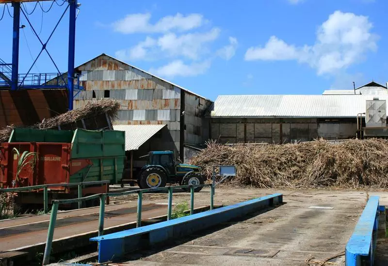 Guadeloupe : Bilan en demi-teinte de la saison sucrière
