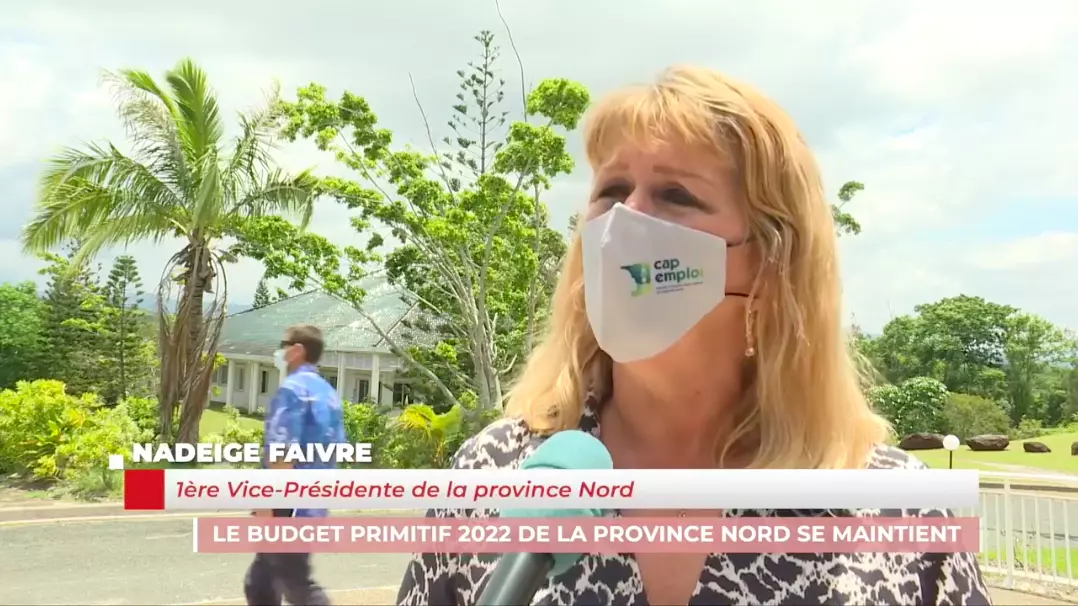Nouvelle-Calédonie : Le budget primitif de la province Nord voté, endettement maîtrisé malgré le contexte économique difficile