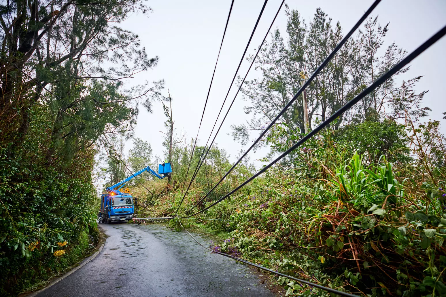 La Réunion:&nbsp;Le SIDELEC Réunion&nbsp;prône un Plan d’Enfouissement du Réseau Électrique