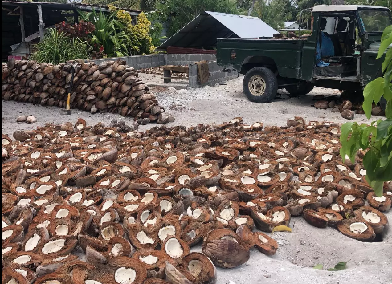 Polynésie: Hausse du prix du coprah, subventionné pour limiter l'exode