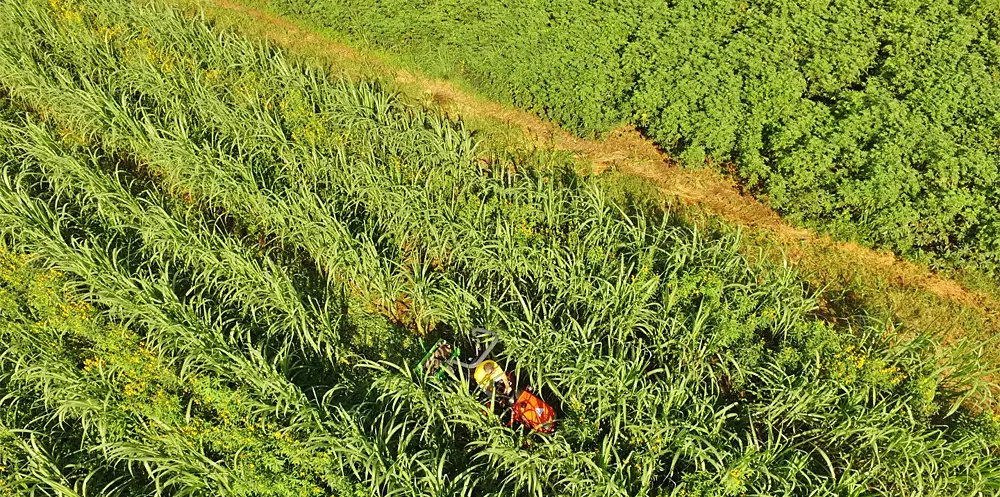 [SERIE ] Agriculture en Outre-mer&nbsp;: en Guadeloupe, une baisse du nombre d’exploitations qui ralentit