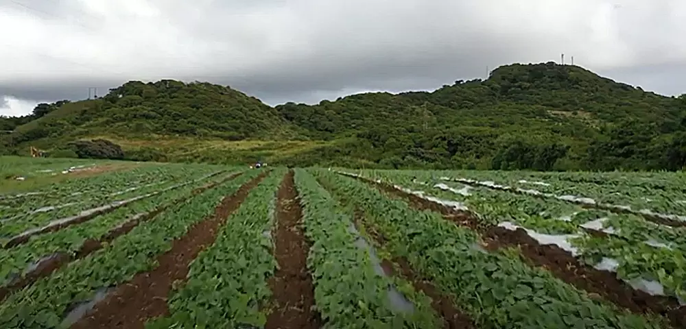 Environnement : Les Outre-mer au rendez-vous des trente ans de l’Agence de la transition écologique (ADEME)