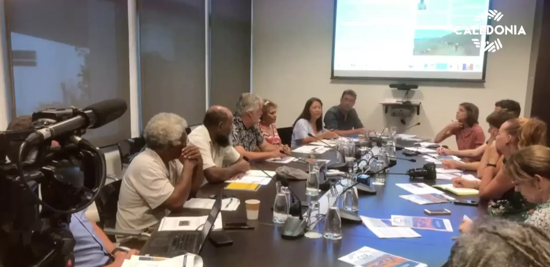 Nouvelle-Calédonie&nbsp;:&nbsp;Le&nbsp;Comité Consultatif de l’Environnement dresse un bilan du&nbsp;schéma et du code&nbsp;minier