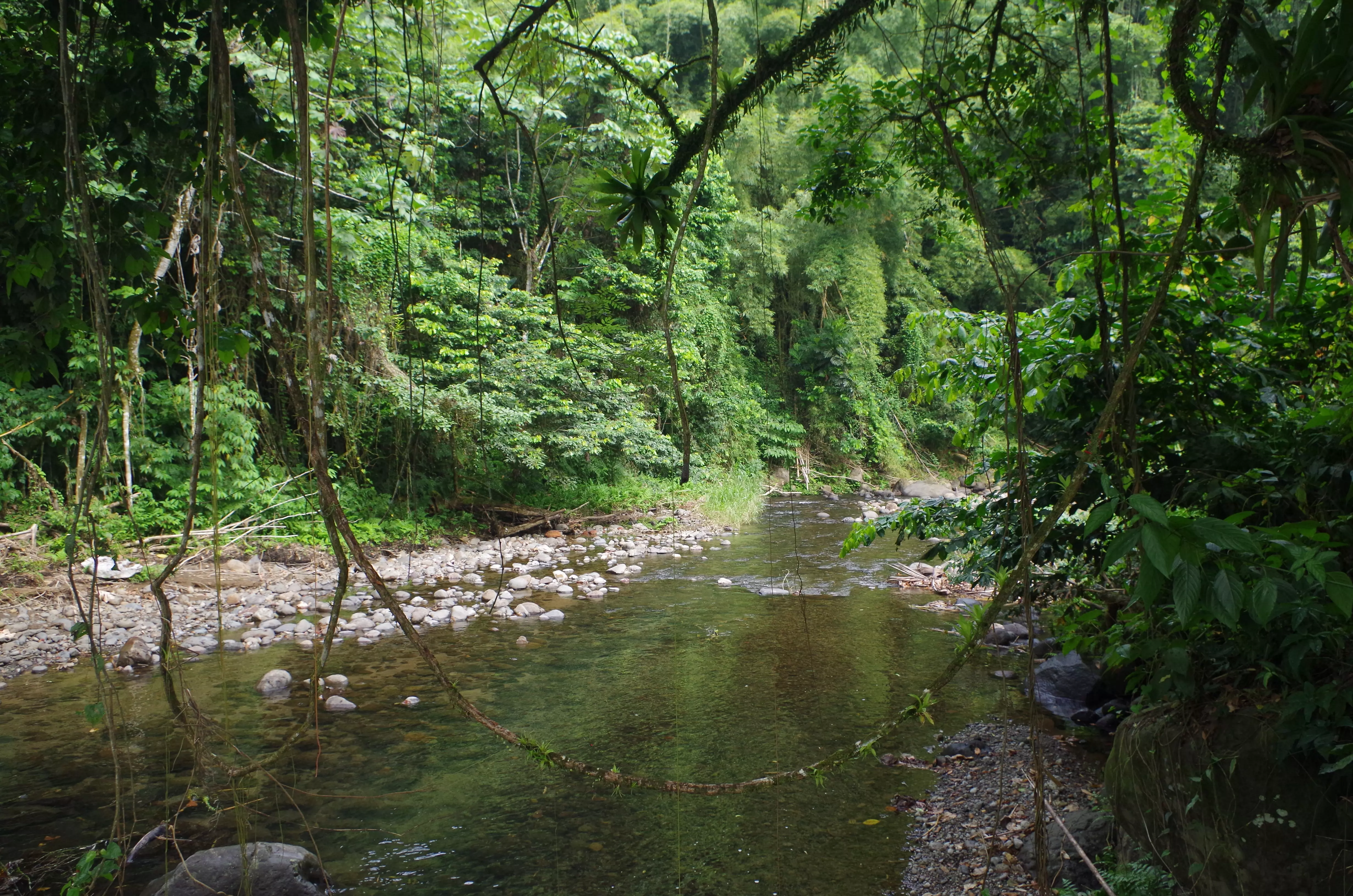 En Martinique, la SME se mobilise pour préserver la ressource en eau