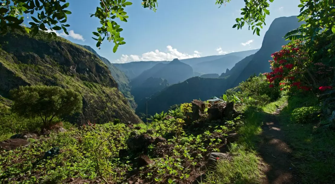 Agriculture : Zoom sur le projet alimentaire du cirque de Mafate à La Réunion