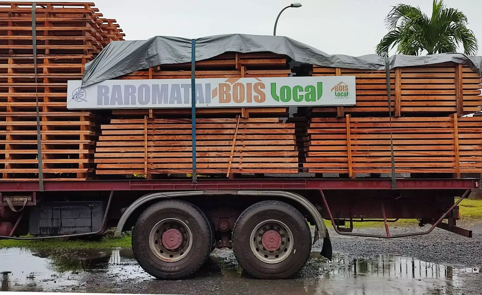 Polynésie : Une convention signée pour valoriser le bois local de l’île de Raiatea