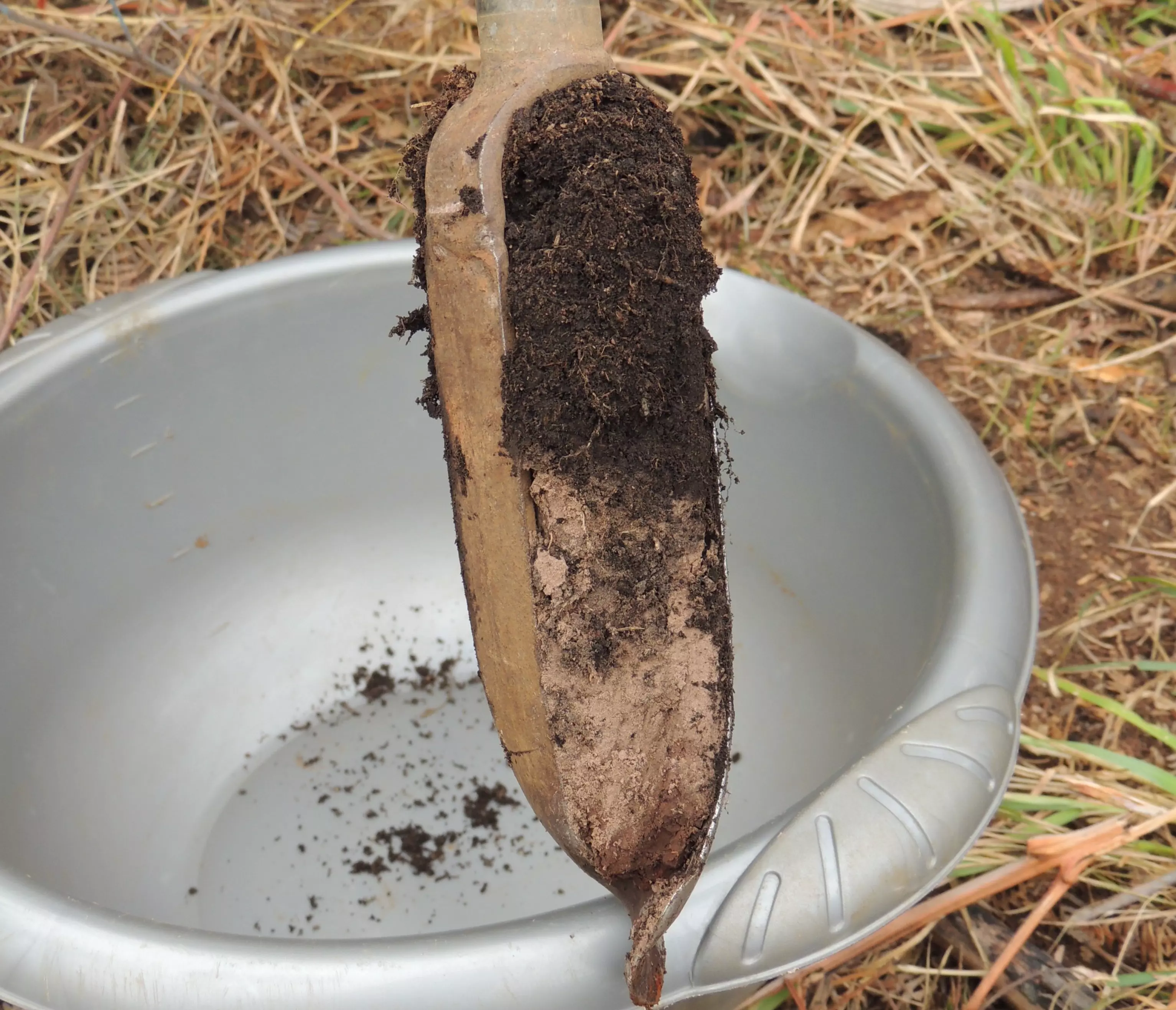 La Réunion : L’IRD va présenter son outil sur la séquestration du carbone dans les sols