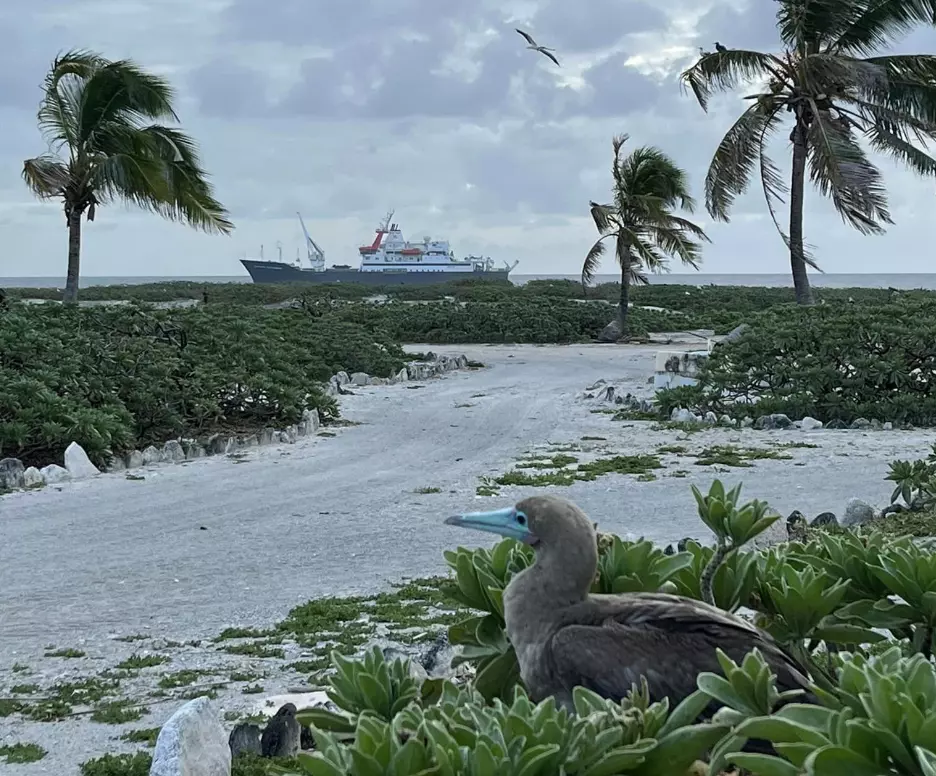 Tromelin: trois mois sur une île déserte