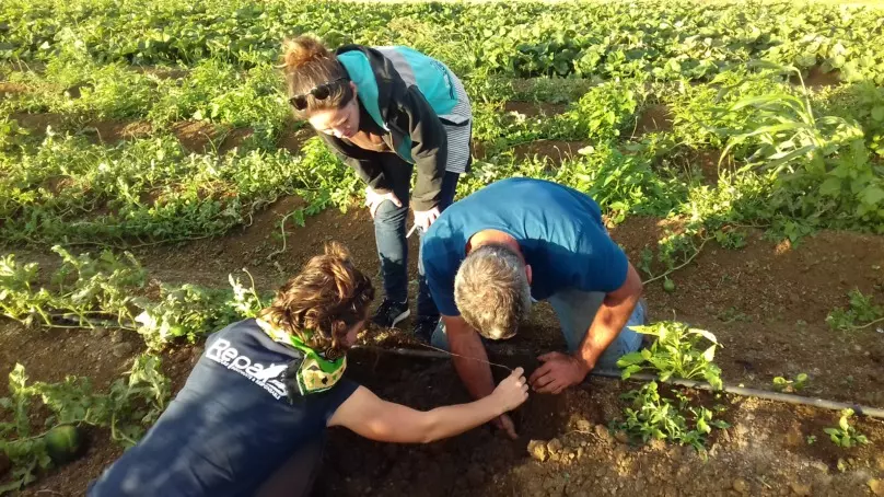 Nouvelle-Calédonie&nbsp;:&nbsp;L’association&nbsp;REPAIR, pour l’agroécologie, connaît de plus en plus de&nbsp;succès