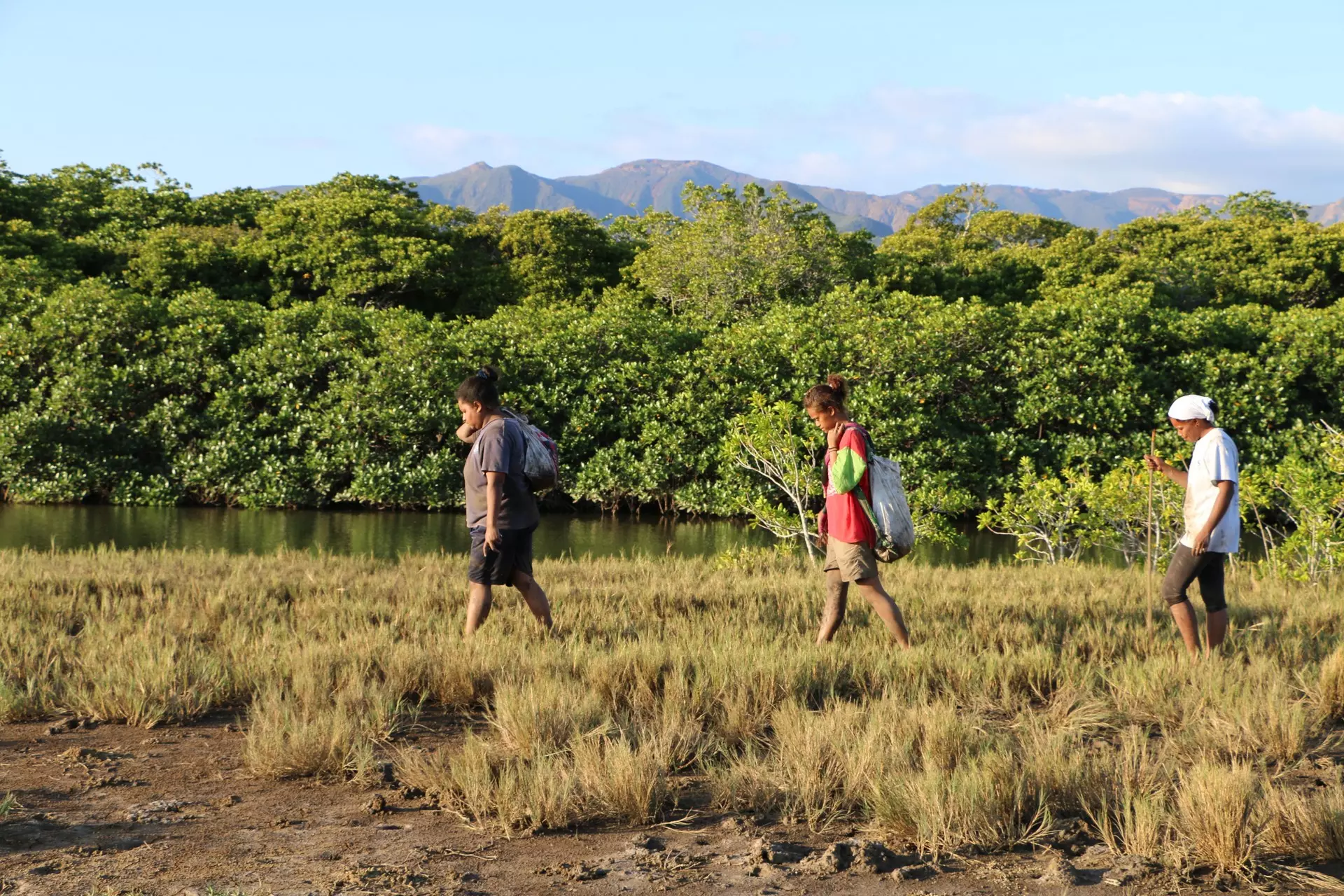 Démographie : En Nouvelle-Calédonie, la vie en tribu diminue au profit des zones urbaines