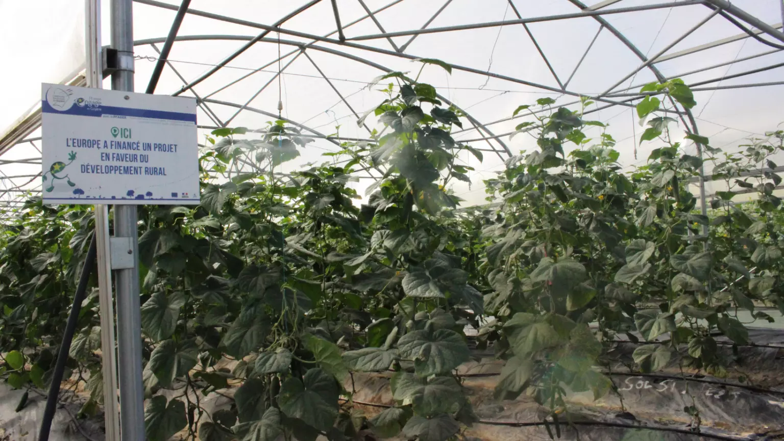 Fonds européens et agriculture en Guyane : La Collectivité territoriale désormais en charge de l'instruction des demandes d’agriculteurs