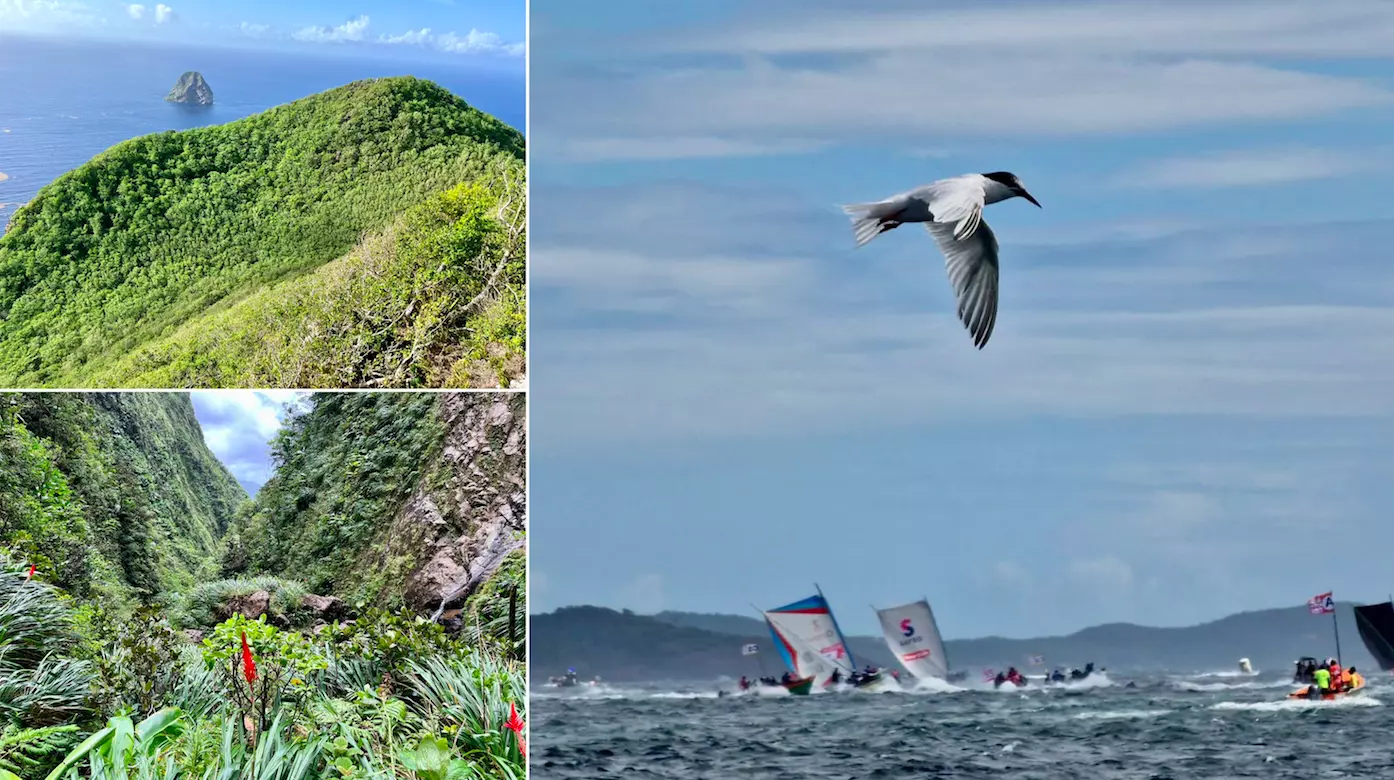 Le Comité Martiniquais du Tourisme et la Réserve de Biosphère ensemble pour valoriser « les richesses » de l’île