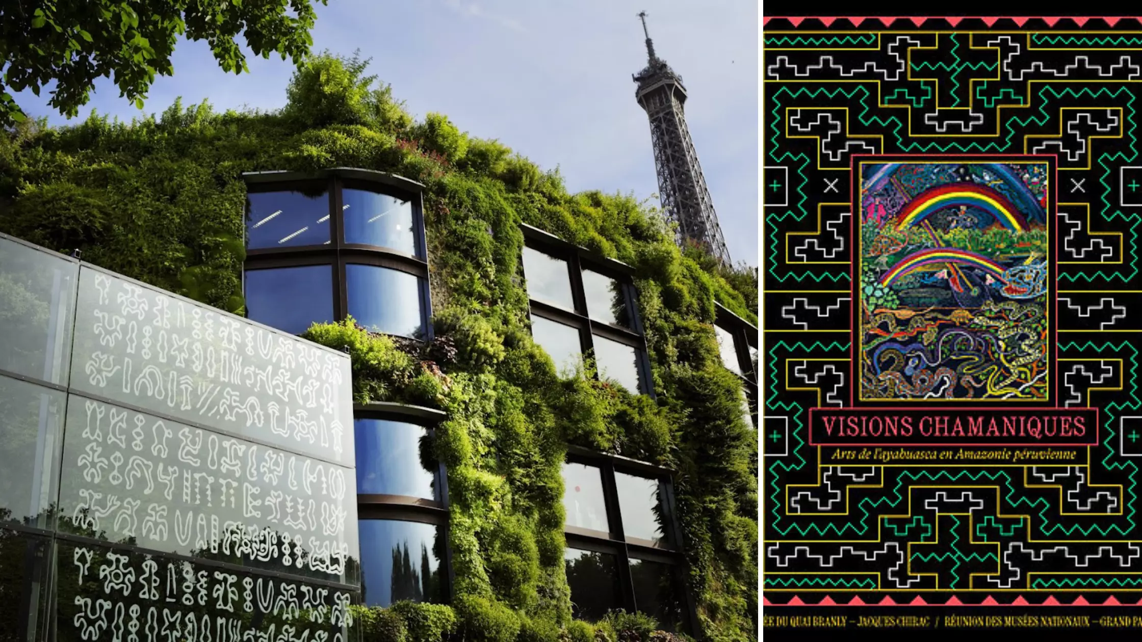 Au Quai Branly, des «visions chamaniques» au cœur d’une exposition consacrée à une plante d'Amazonie «hallucinogène»