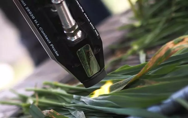 Guadeloupe : Le Cirad se penche sur les avancées de l’Intelligence Artificielle et de son utilisation en agronomie