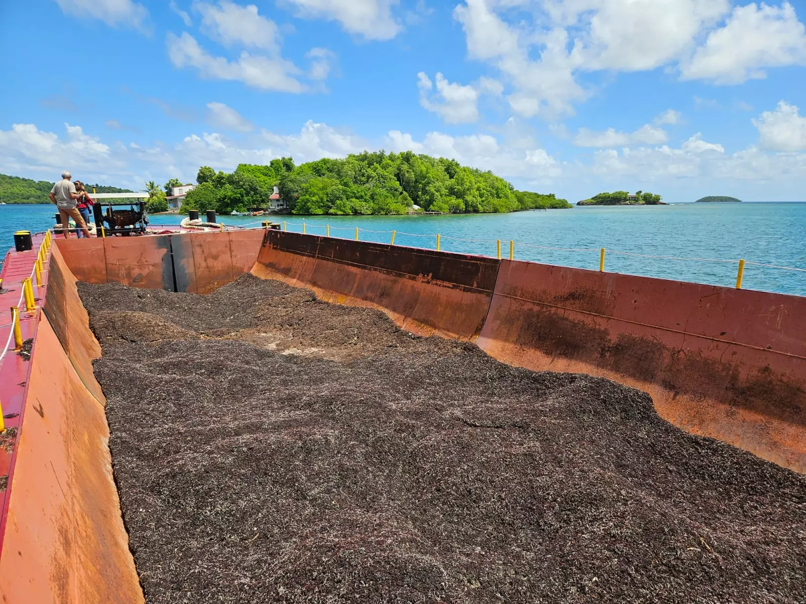 Guadeloupe : Des avancées importantes sur la transformation et la valorisation des sargasses