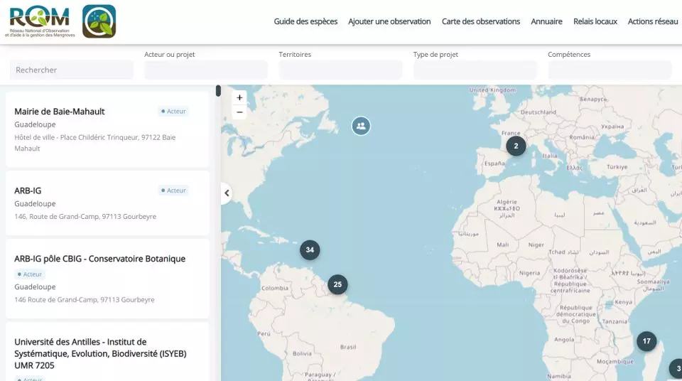 Un nouvel annuaire en ligne pour renforcer la conservation des mangroves en Outre-mer