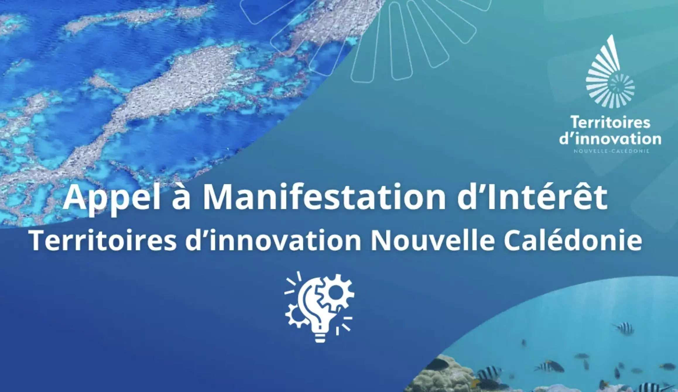 Nouvelle-Calédonie : Le Gouvernement de Nouvelle-Calédonie et la Banque des Territoires lancent un nouvel appel à manifestation d'intérêt pour innover en faveur de l’environnement