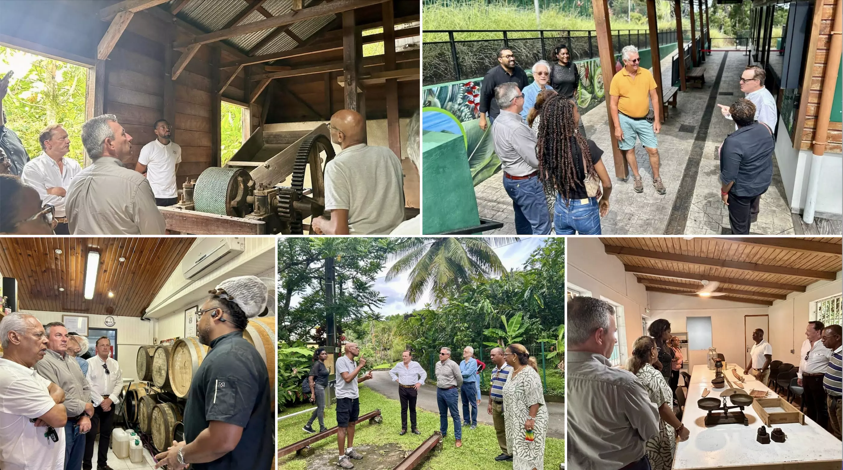 L’UDE-Medef Guadeloupe a lancé son Tour économique 2025 par Vieux-Habitants et Bouillante
