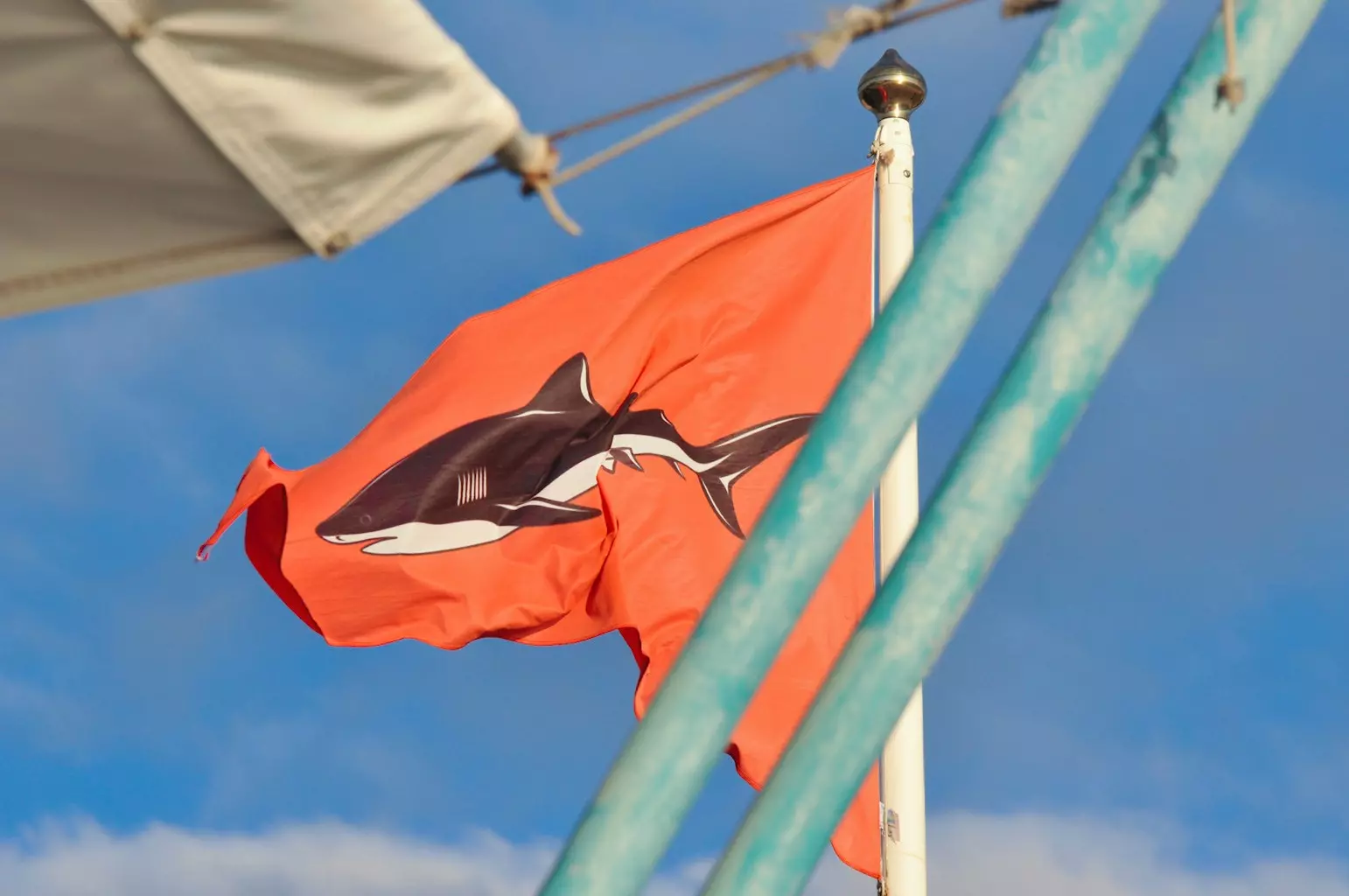 La Réunion : Activités nautiques, les autorités appellent à la vigilance face au risque requin