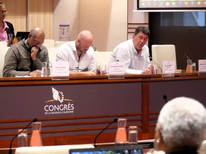 Nouvelle-Calédonie : le plan de réformes du gouvernement adopté au Congrès dans la douleur