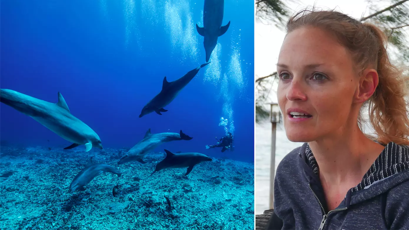Polynésie : « Si on continue ainsi, on risque le point de non-retour » : l’alerte de Pamela Carzon, docteur en biologie marine et présidente de l’association Dauphins de Rangiroa, sur le tourisme de plongée sous-marine
