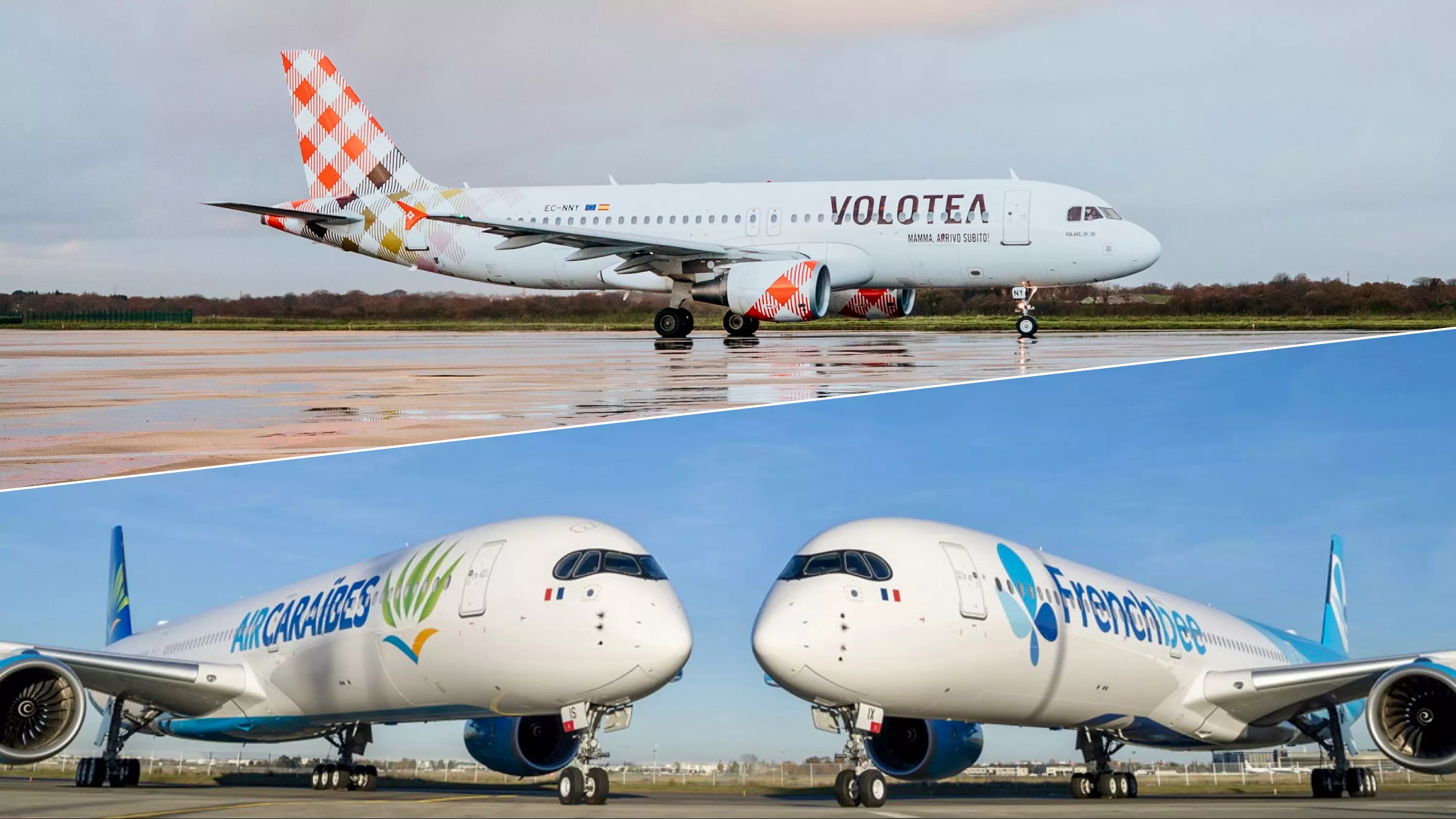 Aérien : Volotea, Air Caraïbes et French bee signent un accord interligne