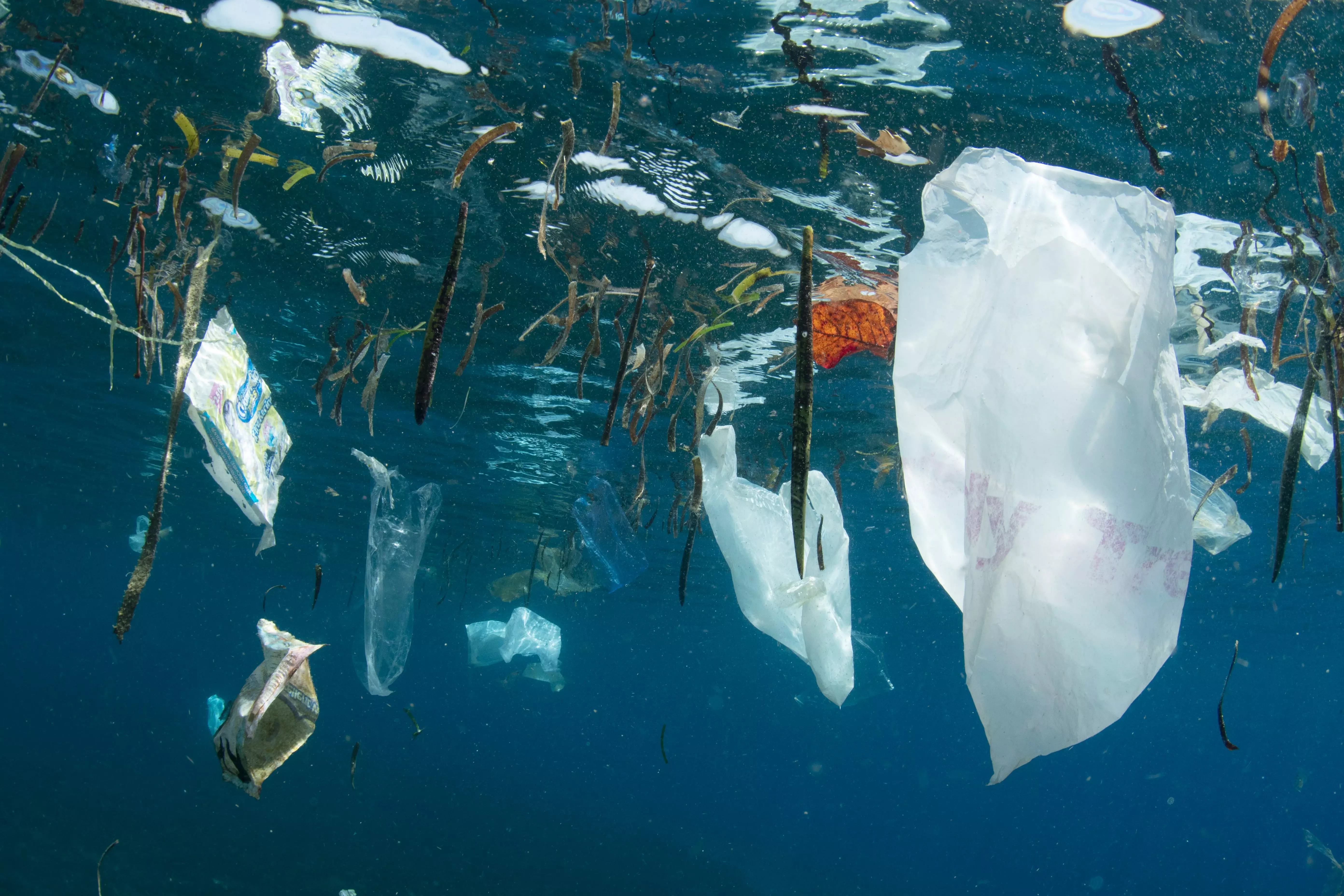 Plus que quatre jours pour boucler un traité mondial contre la pollution plastique, y compris en milieu marin
