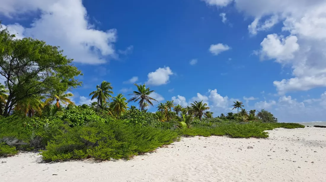 Tourisme en Outre-mer : près de 4,5 millions de passagers en 2024, selon Atout France