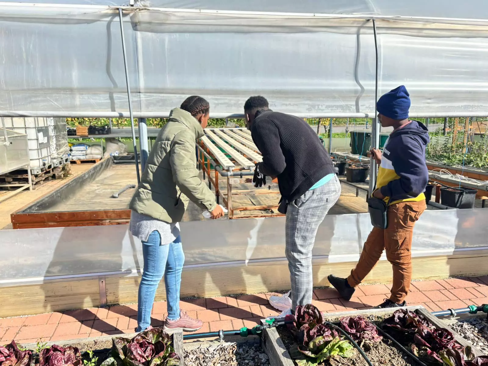 Des élèves du lycée agricole de Mayotte en voyage Erasmus+ en Autriche
