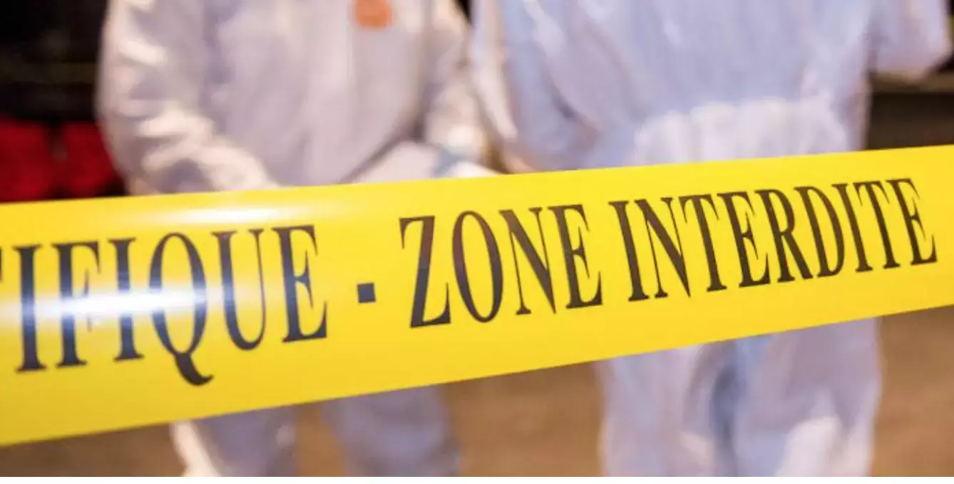 Martinique: 29 homicides depuis le début de l'année, autant qu'en 2024