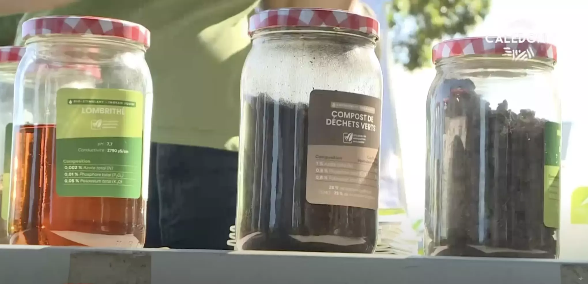 Agriculture en Nouvelle-Calédonie : Des tests de fertilisation organique menés sur des parcelles de maïs