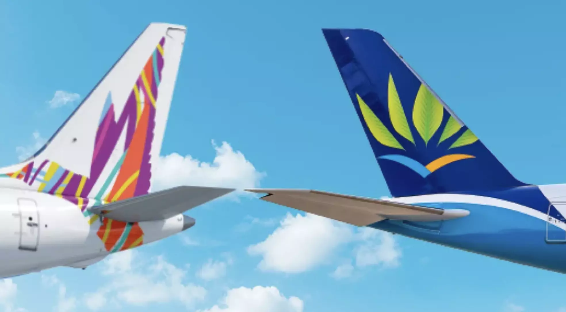 Desserte aérienne : Air Caraïbes et Caribbean Airlines s’allient pour relier de nouvelles îles caribéennes à Paris-Orly