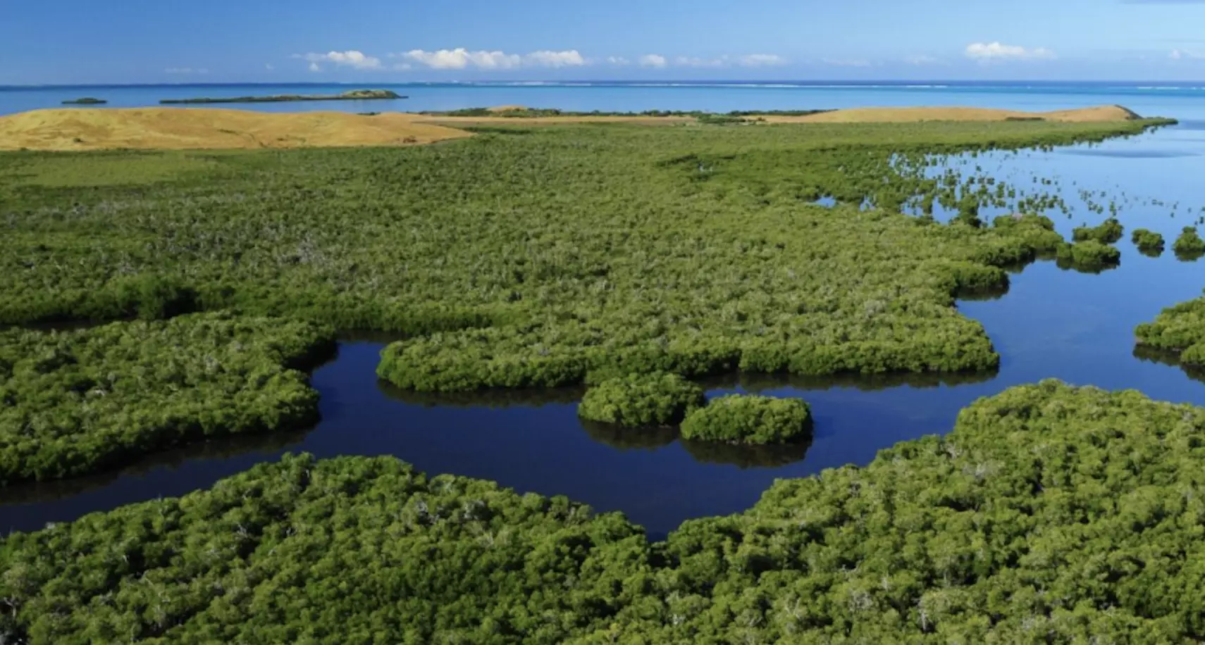 Nouvelle étape dans l’évaluation des mangroves de Nouvelle-Calédonie et Wallis a annoncé l'UICN