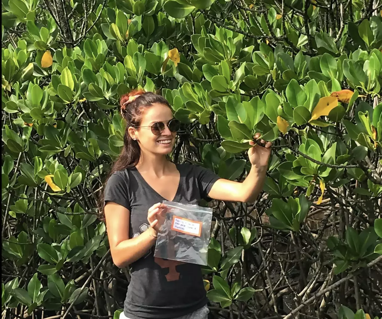 Mangroves : Les chercheurs de l’UNC Sarah Robin et Cyril Marchand ont collaboré dans une étude internationale révélant des différences dans le stockage du carbone bleu