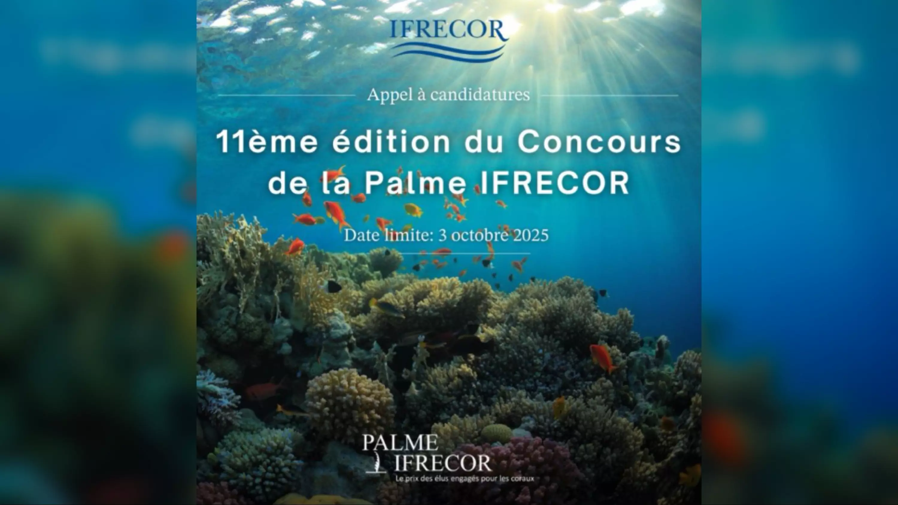 L’Initiative française pour les récifs coralliens lance le concours de la « 11ème édition de la Palme Ifrecor »