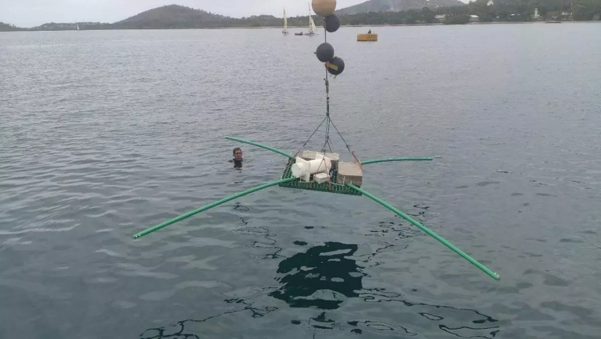 Énergies : Albioma obtient un permis exclusif de recherches de gîtes géothermiques à Mayotte