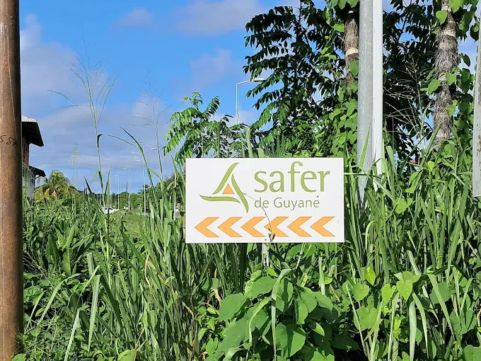 Guyane : L’EPFA Guyane accélère le transfert des activités agricoles à la SAFER Guyane