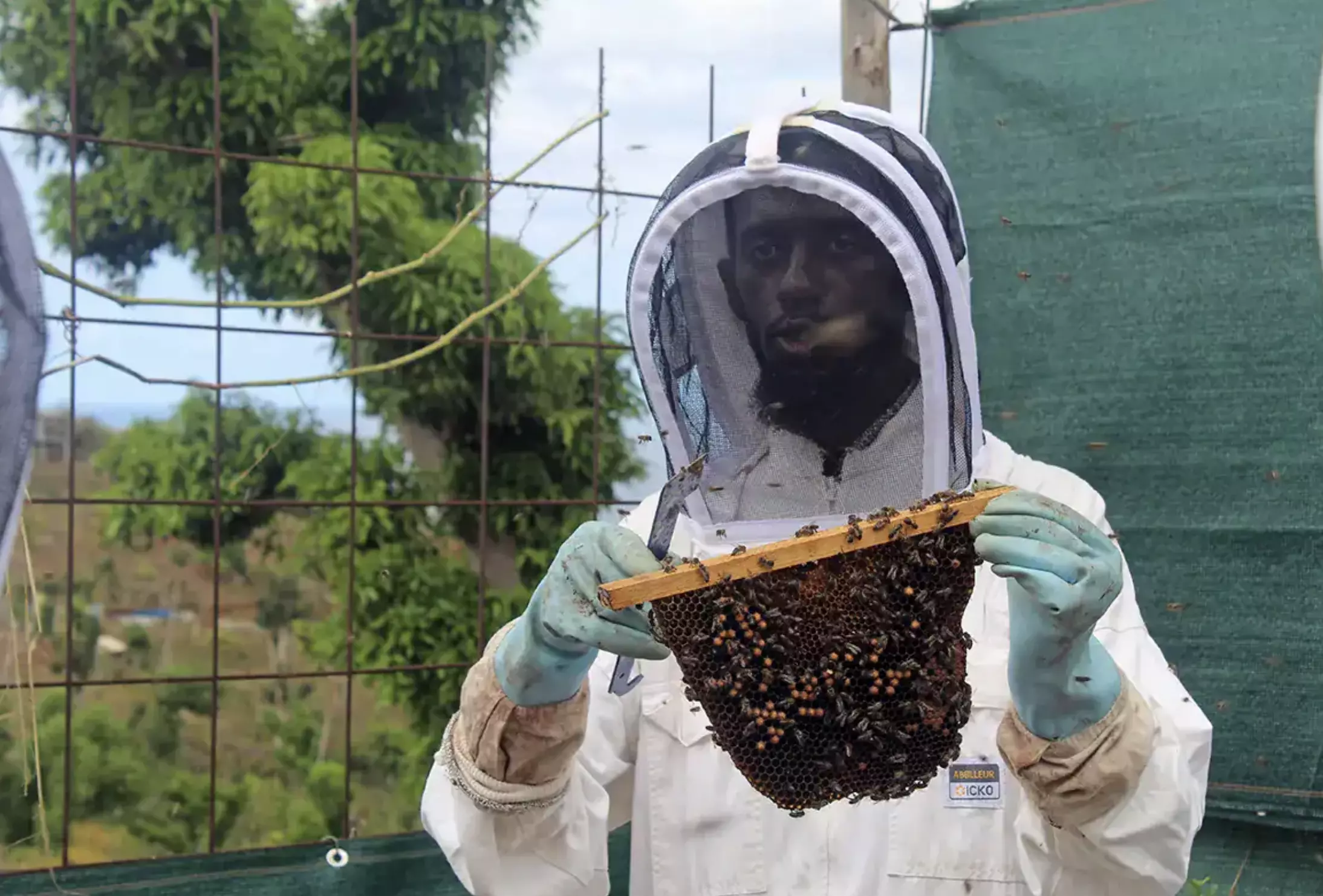 Agriculture : À Mayotte, un miel raffiné au service de la nature