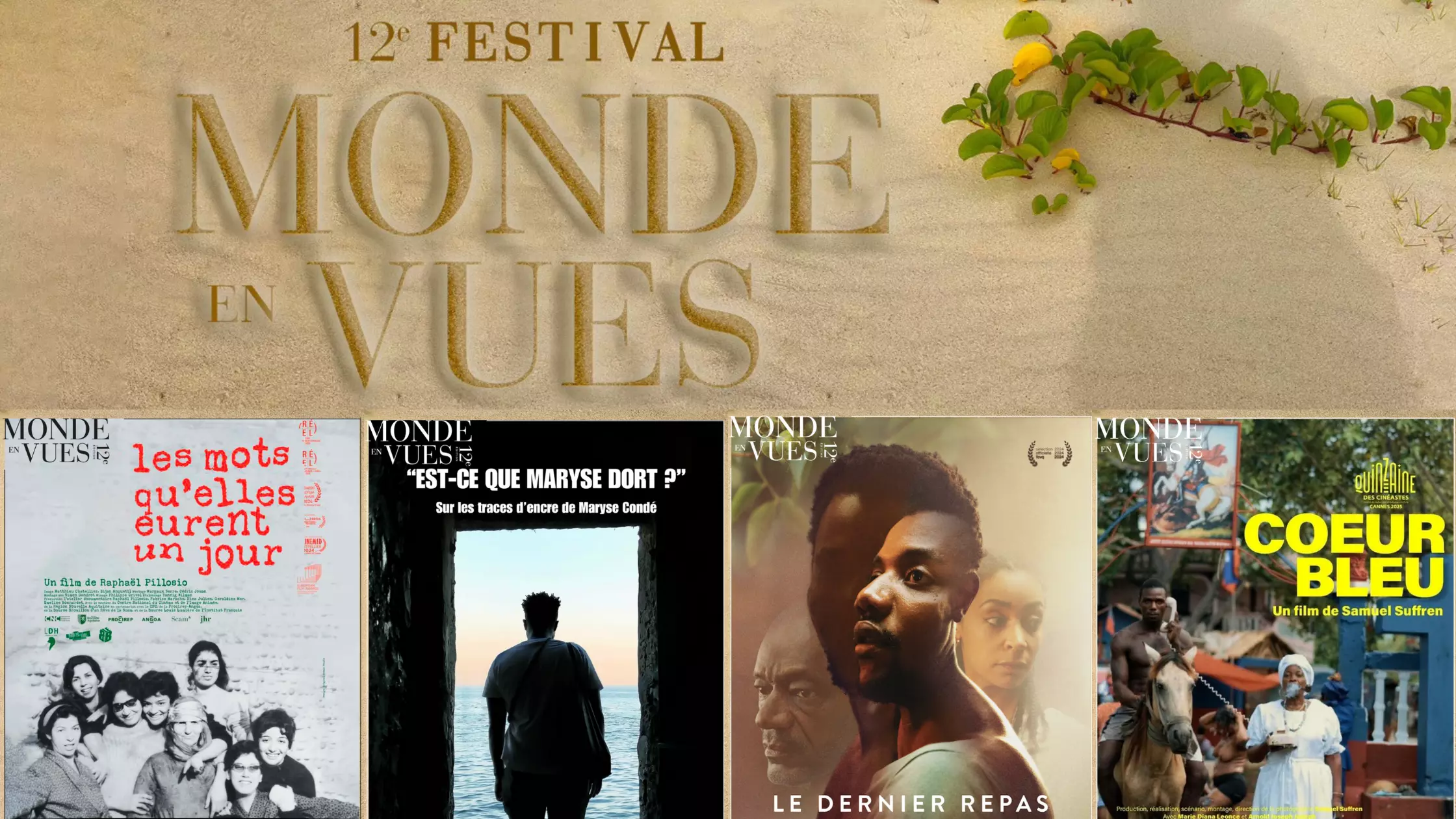 Plus d’une vingtaine de films au programme de la 12ème édition du Festival International du Film des Droits Humains –Monde en Vues- de Guadeloupe