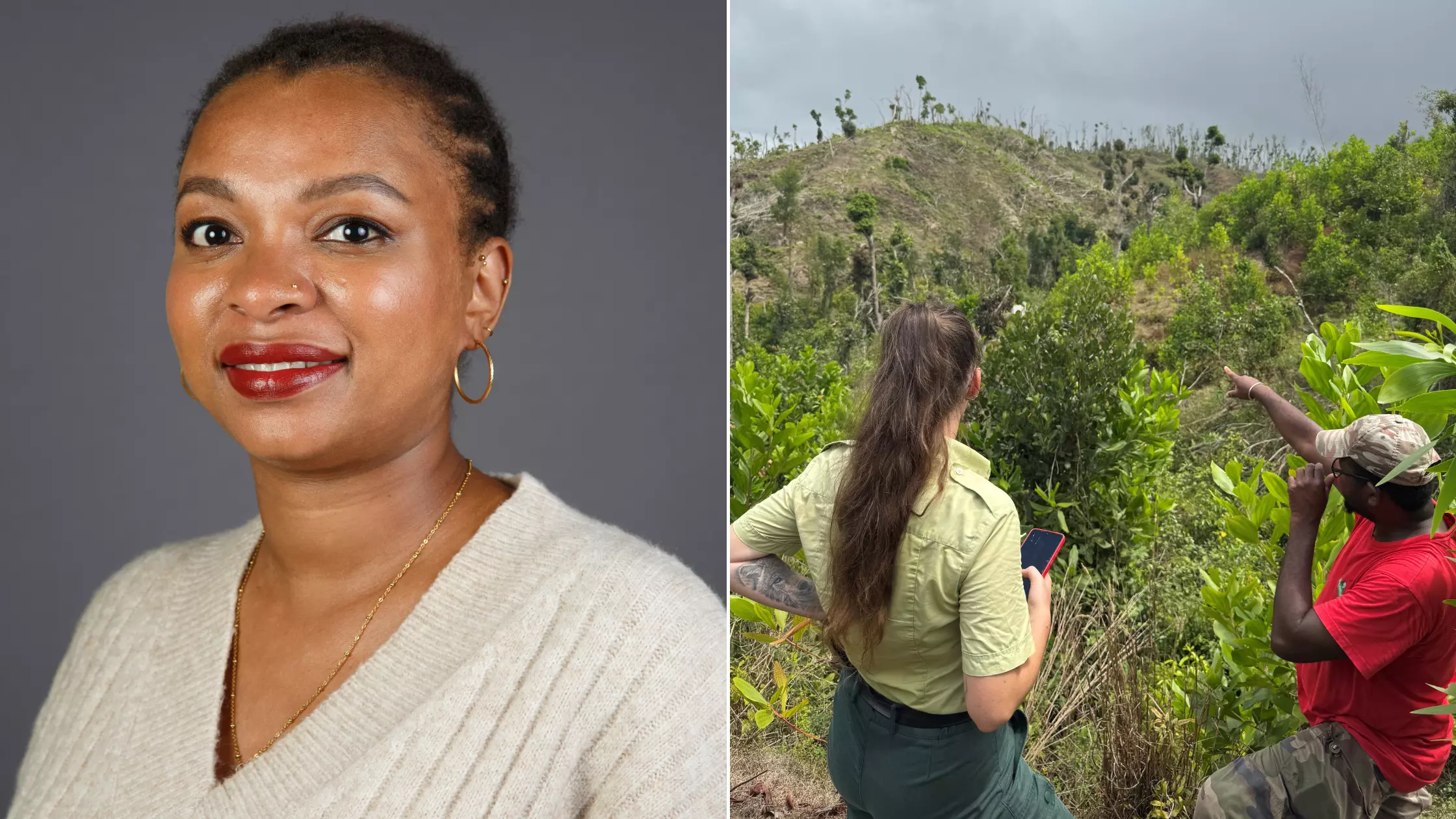 DOSSIER [3/5]. Mayotte post-Chido : « Les forêts partent en fumée » : l’alerte de Rachida Omar, la directrice de l’Office national des forêts