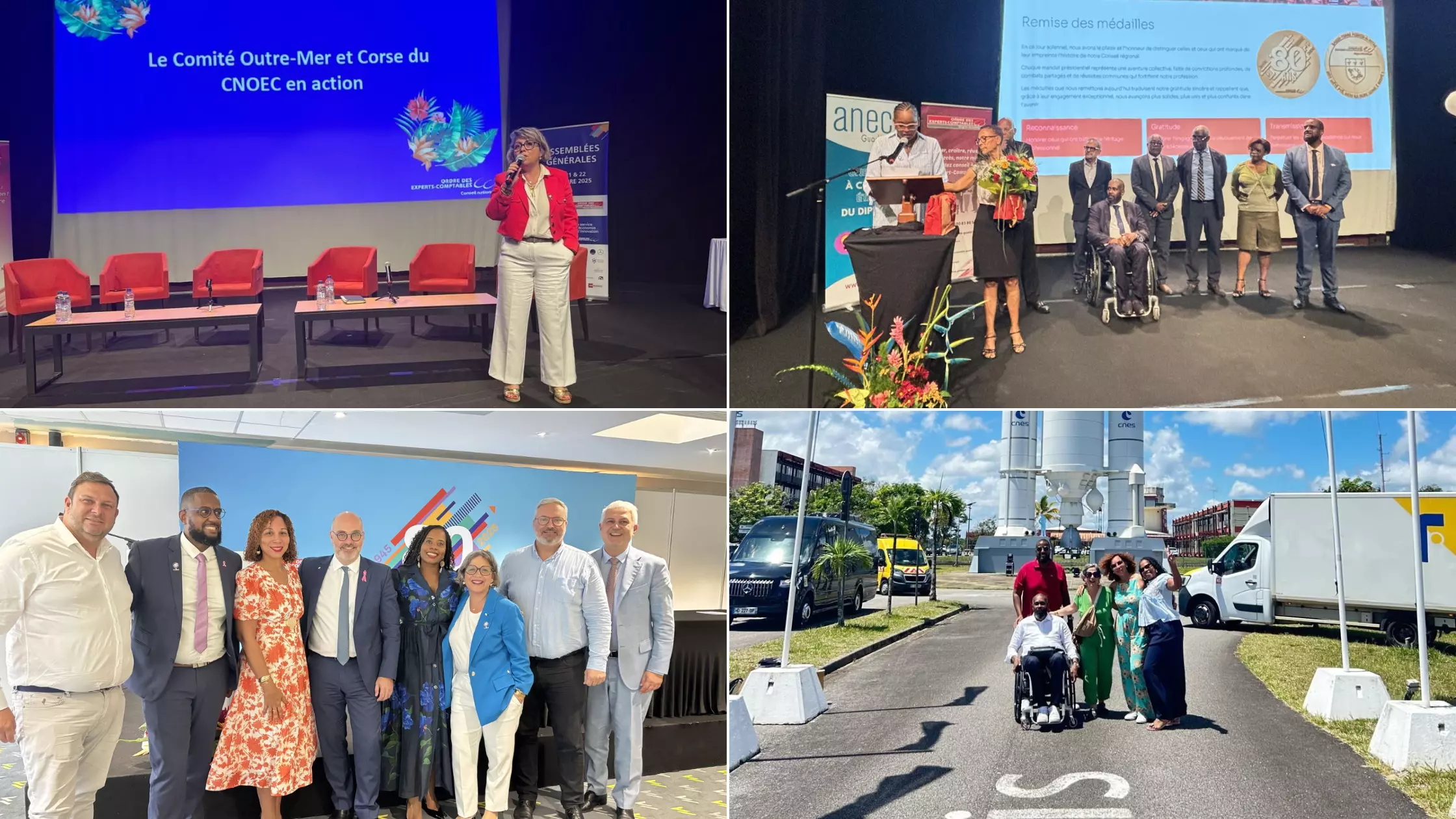 TRIBUNE. Antilles–Guyane : des territoires en mouvement, des experts- comptables au cœur de la transformation par Katy Hoarau