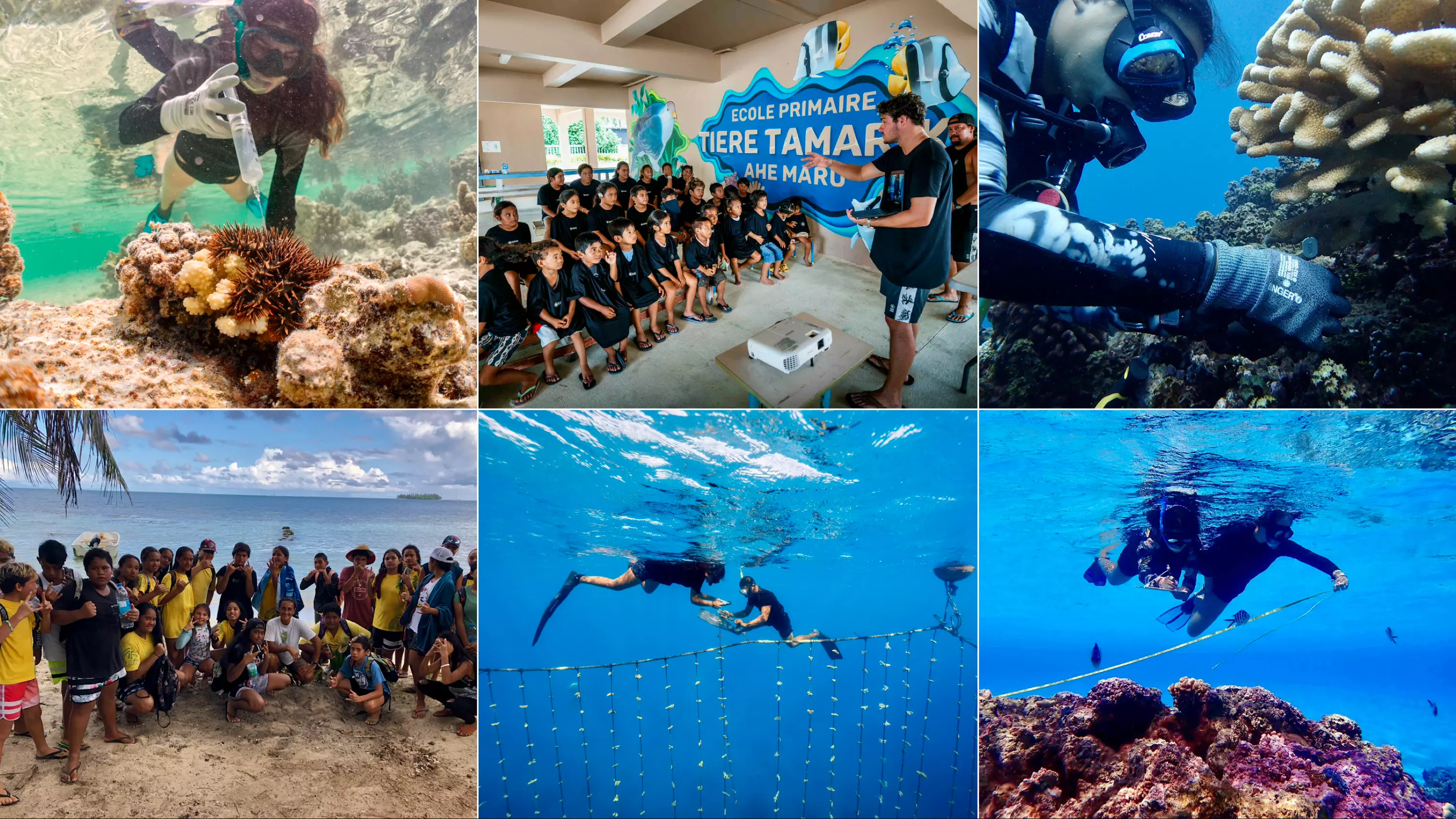 Polynésie : 41 candidatures pour les Trophées TO’A Reef 2025 organisées par l’Ifrecor