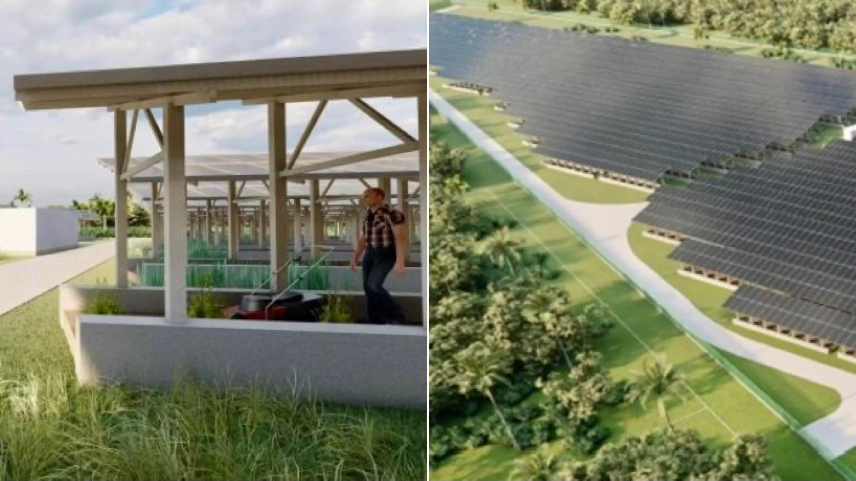 Énergies propres : En Polynésie, l’île de Huahine amorce sa révolution solaire