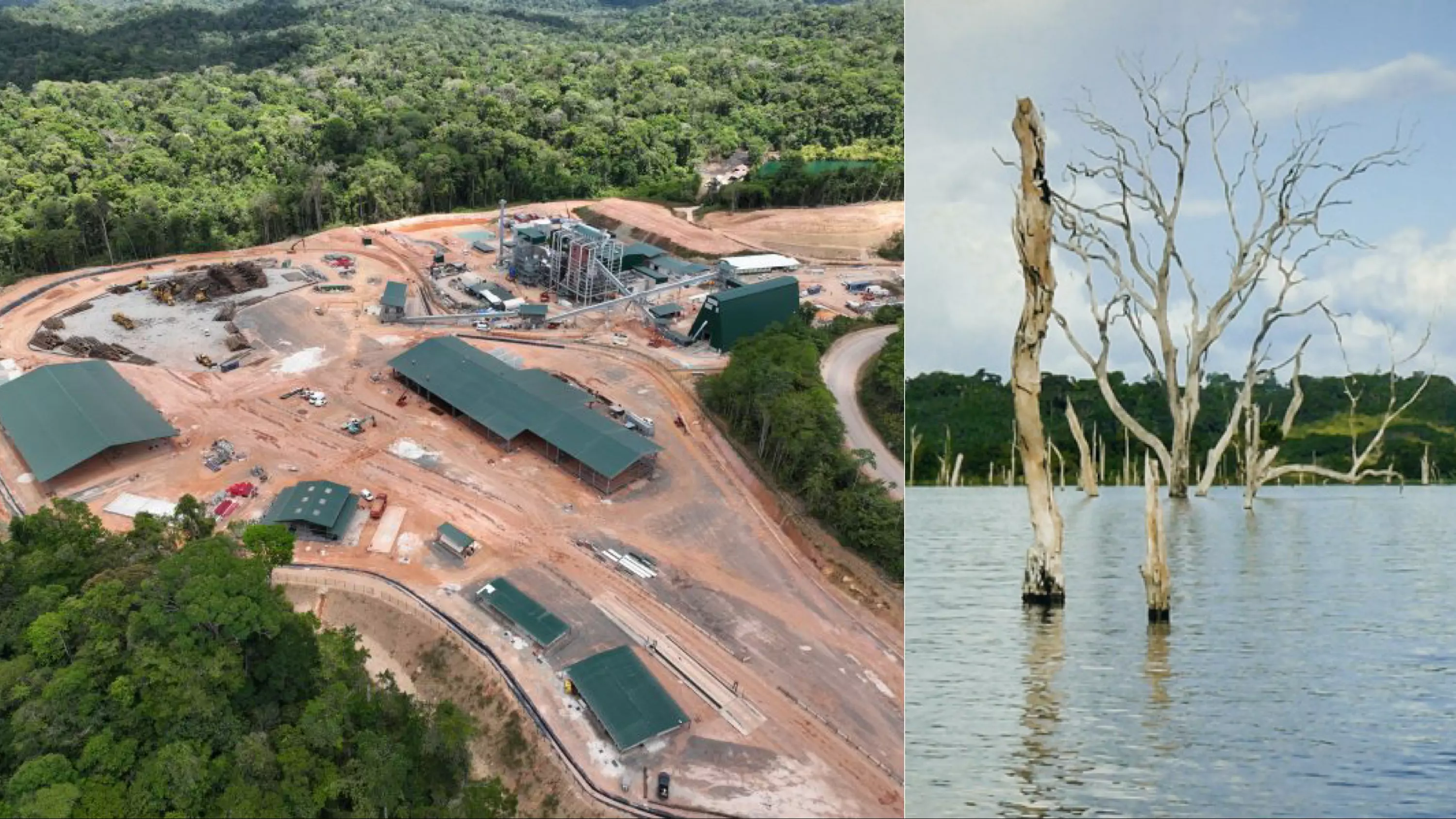 Guyane : Voltalia et Triton Timber inaugurent le Pôle Scierie et Énergie du lac de Petit Saut à Sinnamary