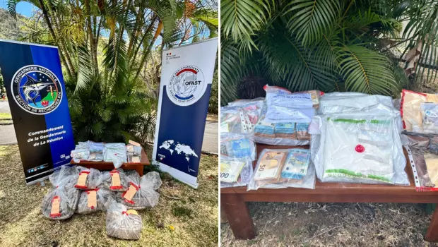 Démantèlement d'un trafic de stupéfiants entre l'Hexagone et La Réunion, 18 interpellations