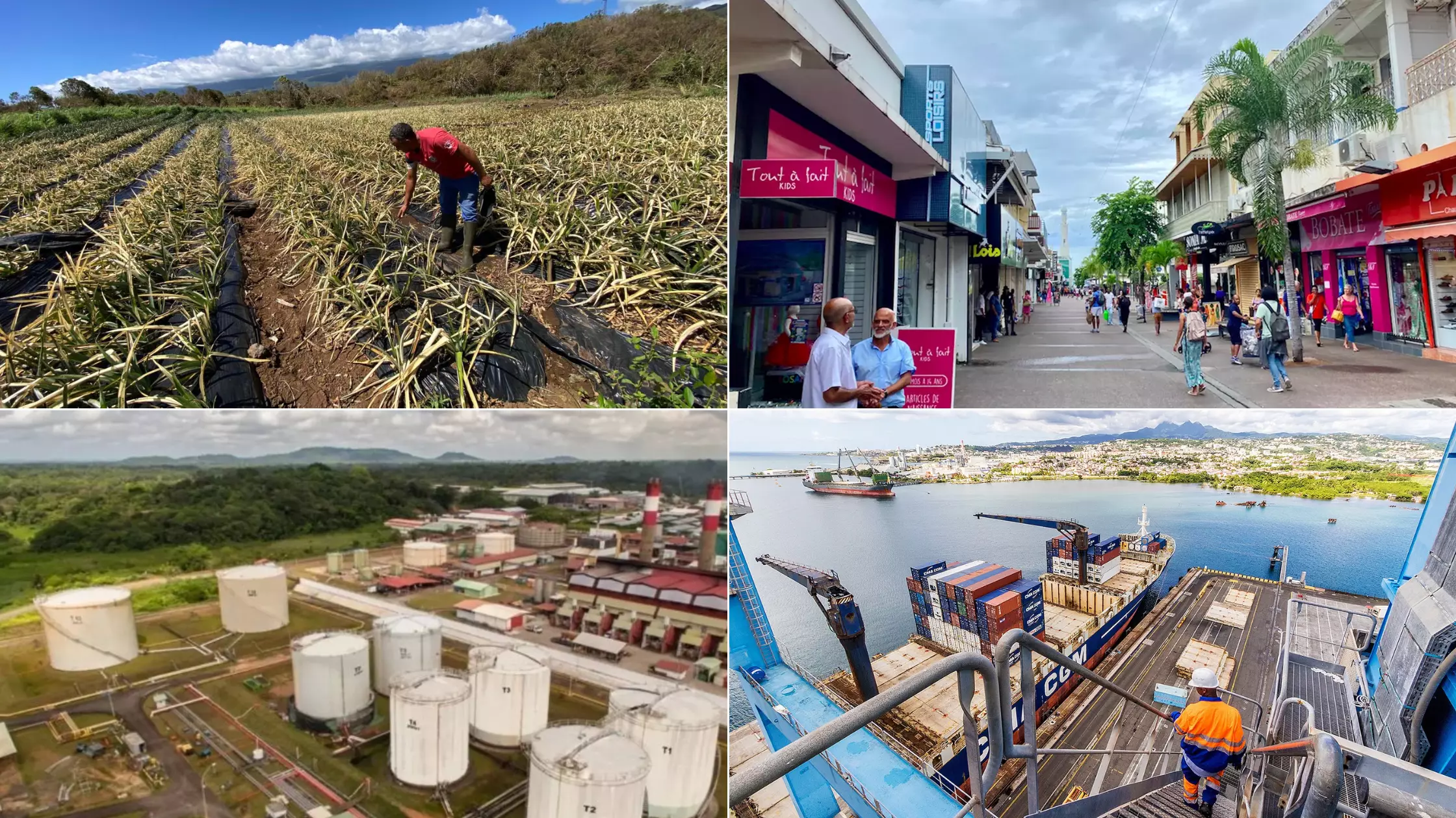 TPE-PME d’Outre-mer et de Corse : des trajectoires économiques contrastées au 3ᵉ trimestre 2025 selon l’observatoire de la profession comptable