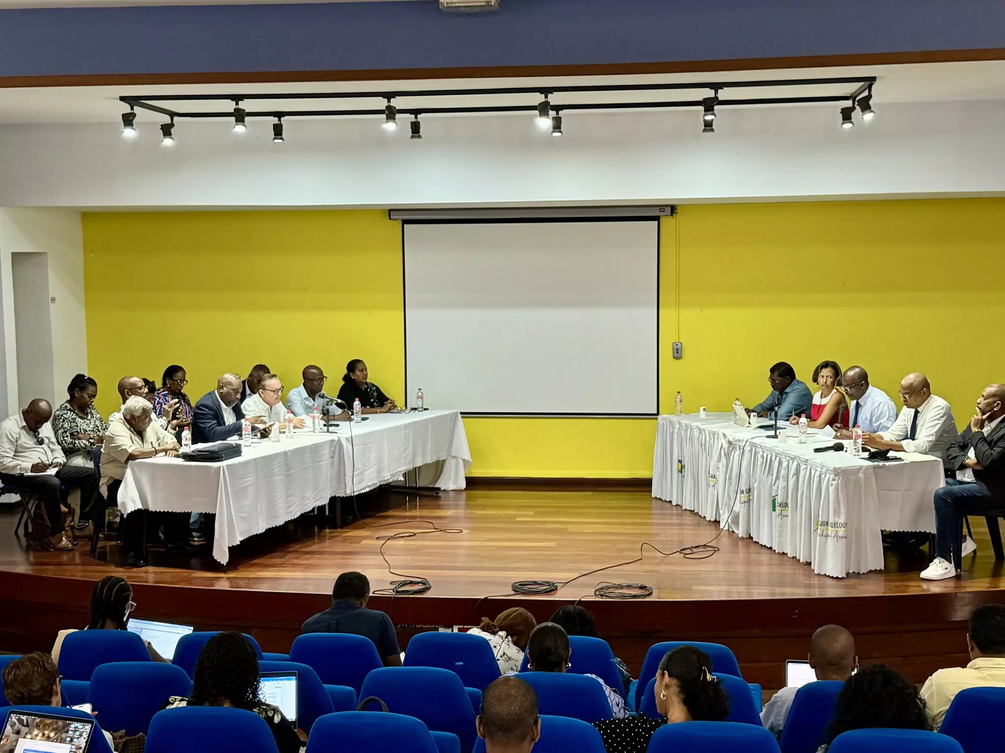 Guadeloupe : La Région lance sa première Commission ad hoc Économie