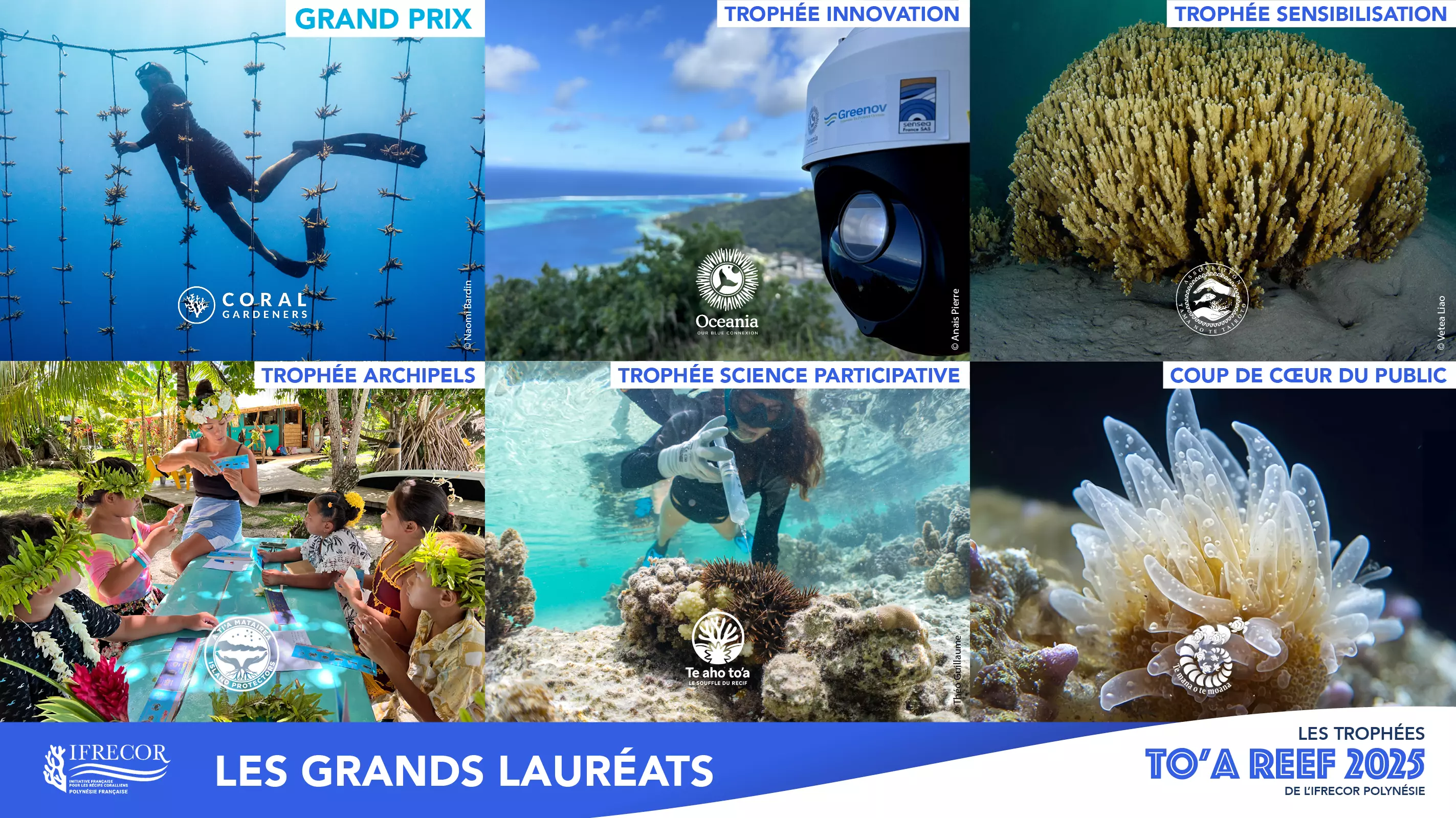 Palmarès des TO’A Reef 2025 : Le numérique et les traditions au service des récifs